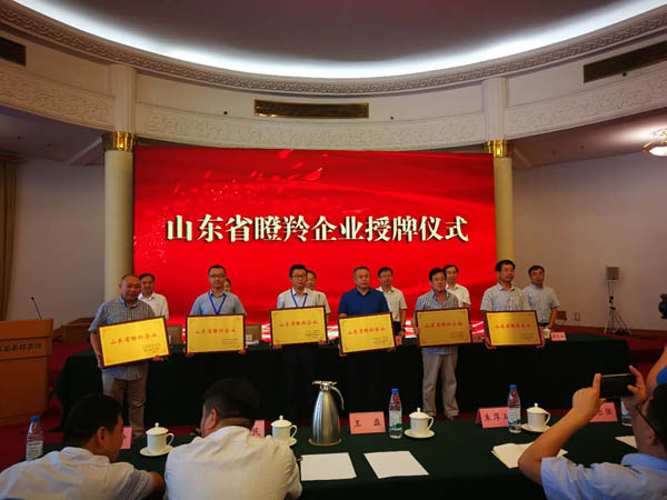 山東省瞪羚企業(yè)發(fā)展促進(jìn)會(huì)授牌儀式