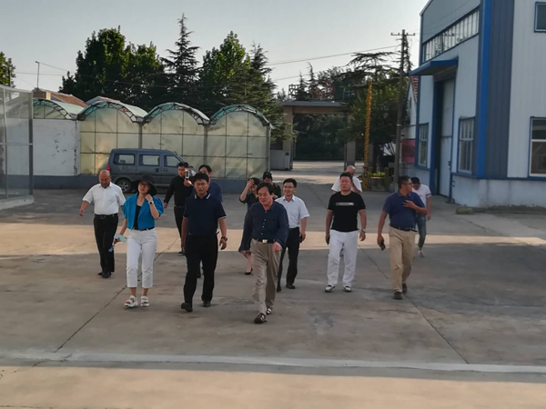 上海商會副會長一行到中玻公司參觀考察